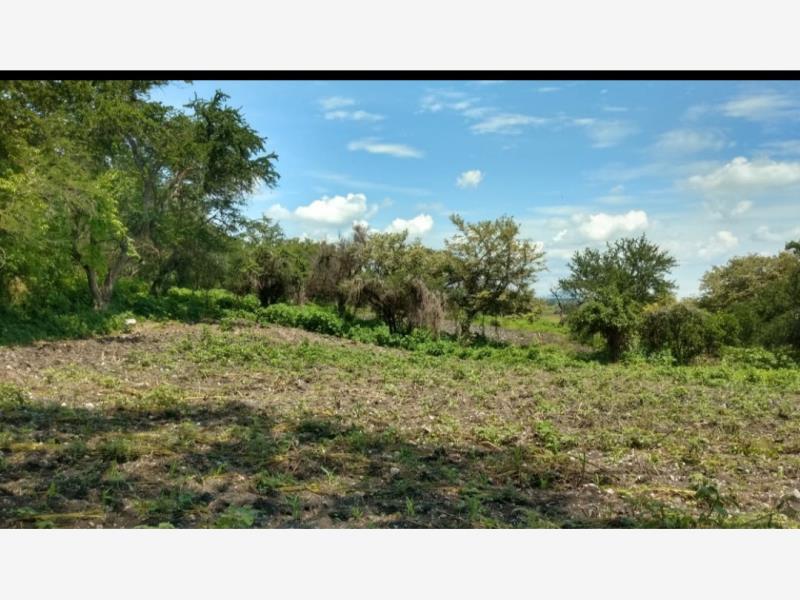 Terreno en venta en Alpuyeca, Xochitepec — foto 1 de 13