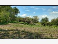 Terreno en venta en Alpuyeca, Xochitepec — foto 2 de 13
