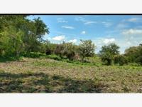 Terreno en venta en Alpuyeca, Xochitepec — foto 3 de 13