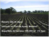 Finca-Rancho en venta en Ampliación Plan de Ayala, Cuautla — foto 2 de 12