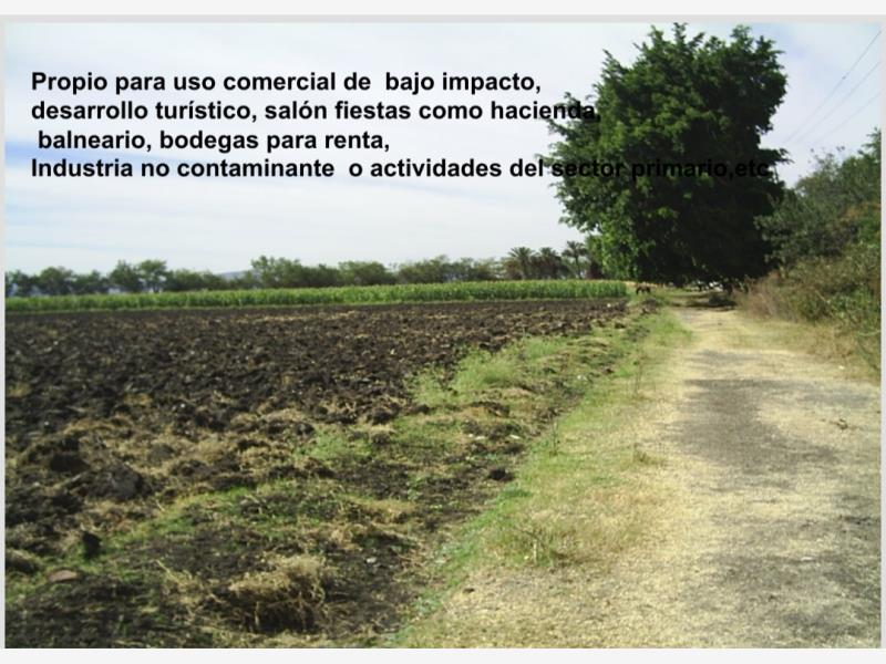 Finca-Rancho en venta en Ampliación Plan de Ayala, Cuautla — foto 1 de 12