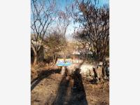 Terreno en venta en Amador Salazar, Yautepec — foto 2 de 5