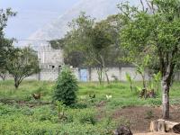 Terreno en venta en Tlilapan, Tlilapan — foto 2 de 26