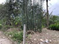 Terreno en venta en Tlilapan, Tlilapan — foto 3 de 26