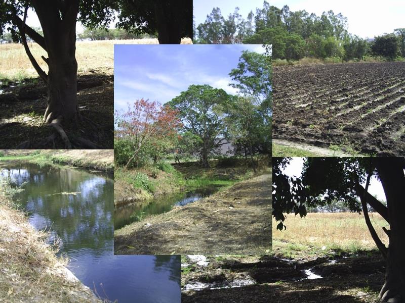 Terreno en venta en Plan de Ayala, Cuautla — foto 1 de 9