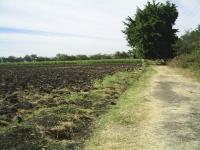 Terreno en venta en Plan de Ayala, Cuautla — foto 2 de 9