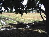 Terreno en venta en Plan de Ayala, Cuautla — foto 3 de 9