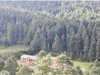 Terreno en venta en Pueblo Nuevo, Mineral del Monte — foto 3 de 17