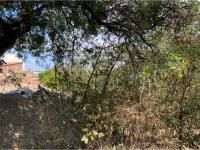 Terreno en venta en El Cocal, Tuxtla Gutiérrez — foto 3 de 5