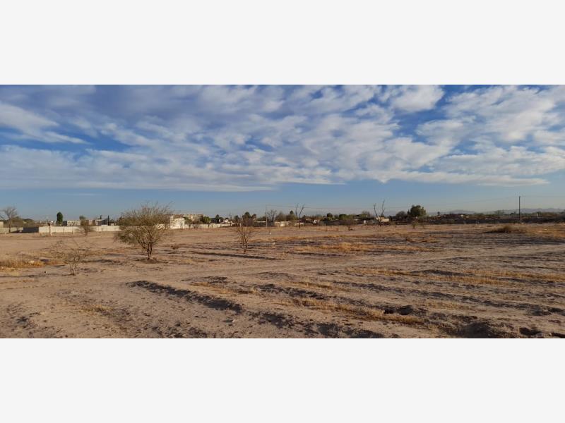 Terreno en Venta en La Concha, Torreón, Coahuila de Zaragoza