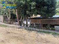 Terreno en venta en Escudero, Tuxpan — foto 3 de 6