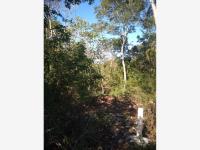 Terreno en venta en Cosgaya, Mérida — foto 3 de 3