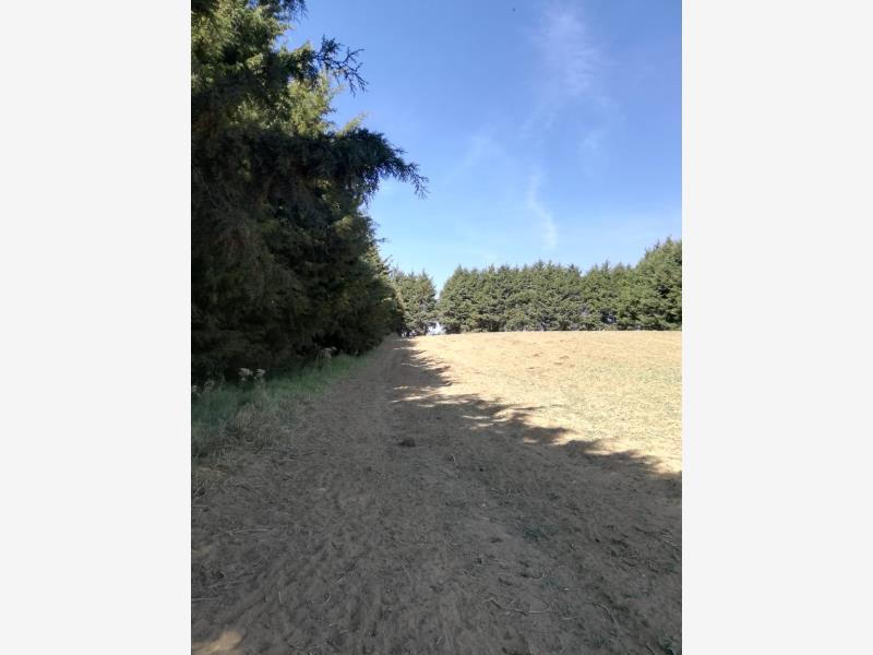 Finca-Rancho en venta en Xalatlaco, Xalatlaco — foto 1 de 16