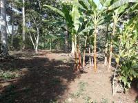 Terreno en venta en San Camilo, Fortín — foto 2 de 13