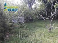Terreno en venta en La Unión (Kilómetro 31), Cazones de Herrera — foto 3 de 9