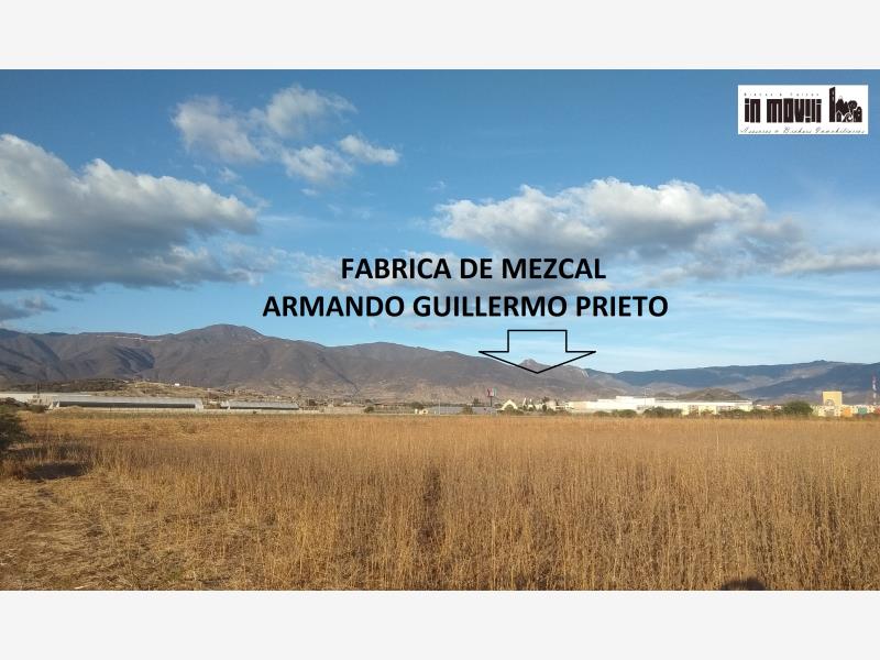 Terreno en venta en Dainzú, Tlacolula de Matamoros — foto 1 de 14