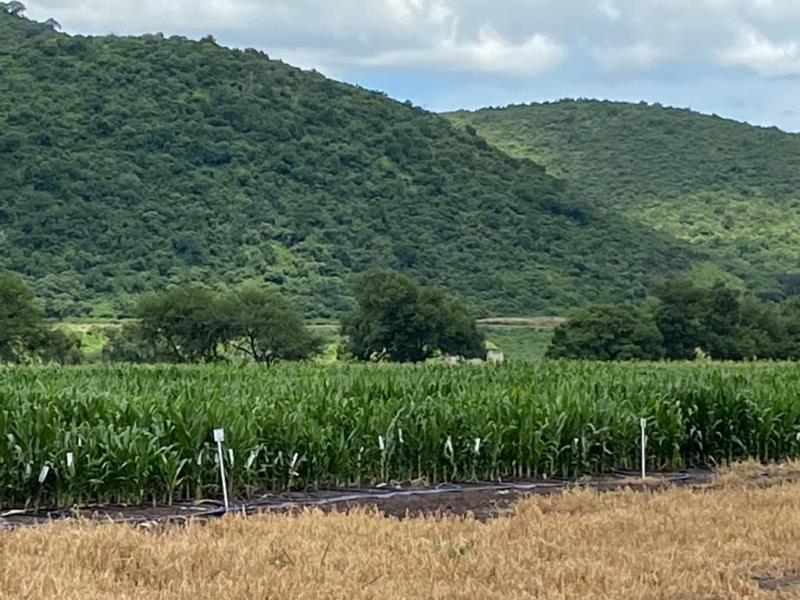 Terreno en venta en San Miguel Cuyutlan, Tlajomulco de Zúñiga — foto 1 de 6