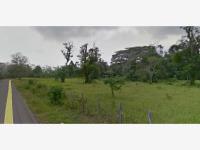 Finca-Rancho en venta en Pechucalco 2da. Sección (Las Cruces), Cunduacán — foto 3 de 4