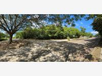 Terreno en venta en Dos Montes, Centro — foto 3 de 8