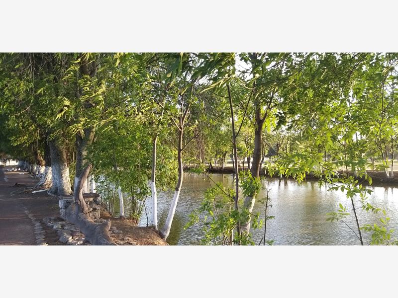 Terreno en venta en Santa Rita (Puerta de Santa Rita), San Francisco del Rincón — foto 1 de 3