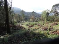 Terreno en venta en Santa Mónica, Tianguistengo — foto 3 de 11