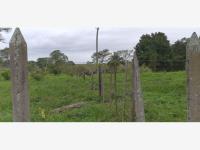 Terreno en venta en Barrancas y Amate 2da. Sección, Centro, Tabasco Terreno en venta en Barrancas y Amate 2da. Sección, Centro, Tabasco