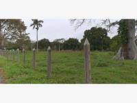 Terreno en venta en Barrancas y Amate 2da. Sección, Centro — foto 2 de 4