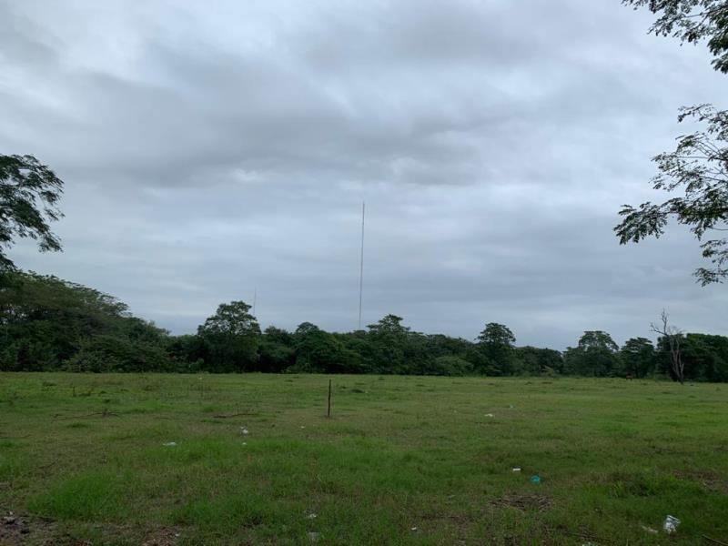 Terreno en venta en Gaviotas Sur (El Cedral), Centro — foto 1 de 20