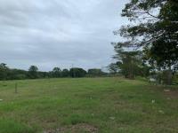 Terreno en venta en Gaviotas Sur (El Cedral), Centro — foto 3 de 20