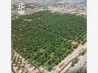 Terreno en venta en La Barranca, Torreón — foto 2 de 3