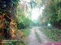 Terreno en venta en Donato Márquez Azuara, Papantla — foto 3 de 6