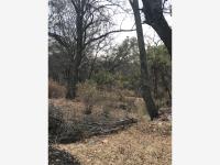 Terreno en venta en Los Domínguez, Villa del Carbón, México