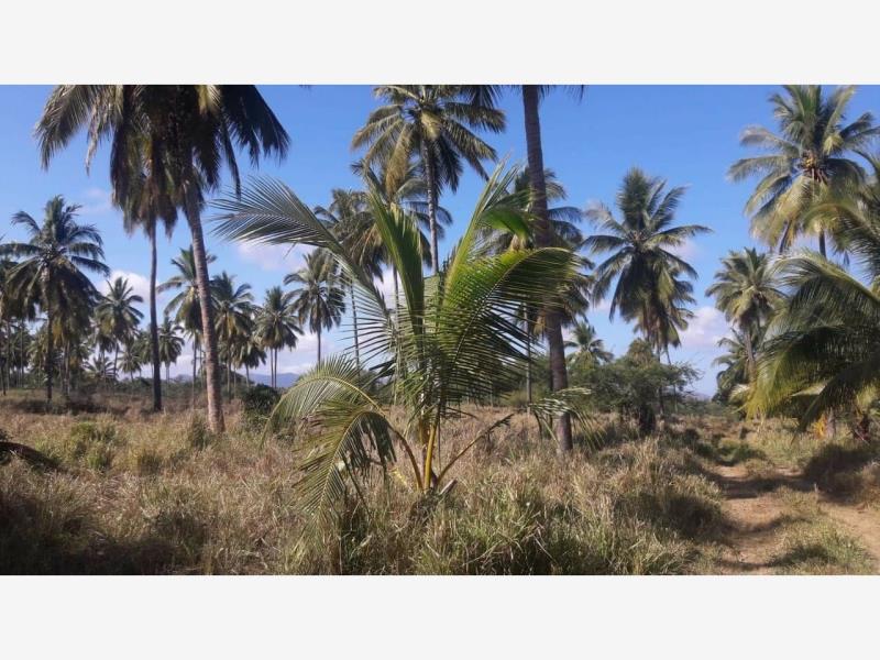 Terreno en venta en Cerro de Ortega, Tecomán