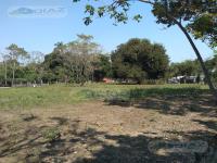 Terreno en venta en La Cruz del Bajío, Centro — foto 2 de 9