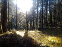 Terreno en venta en Pueblo Nuevo, Mineral del Monte — foto 3 de 13