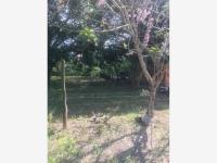 Terreno en venta en Paso del Toro, Medellín de Bravo — foto 3 de 9