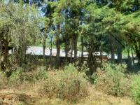 Finca-Rancho en venta en Pátzcuaro, Pátzcuaro — foto 2 de 12