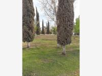 Terreno en venta en Residencial el Fresno, Torreón — foto 3 de 8