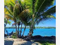 Terreno en venta en San José de las Flores, Santiago Jamiltepec — foto 3 de 30