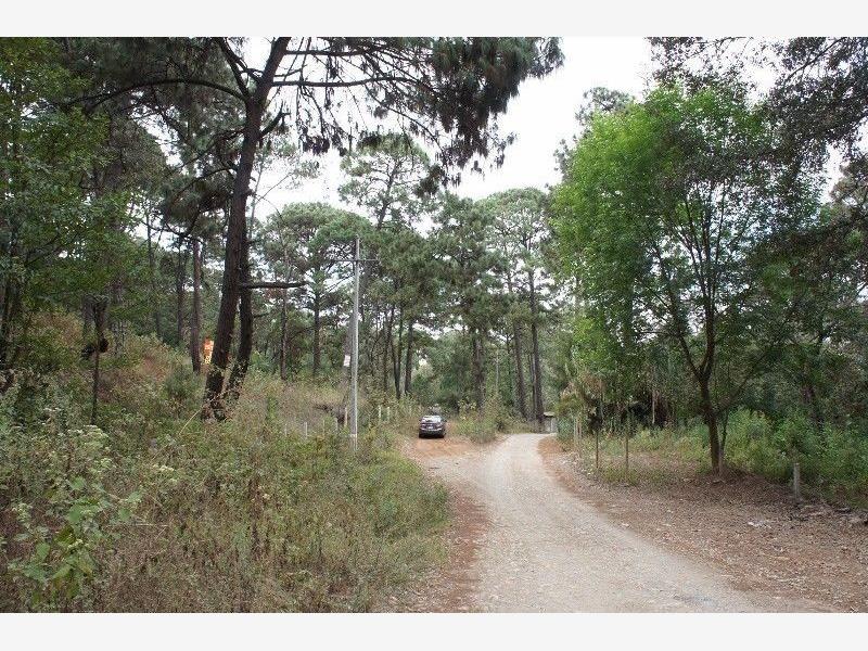 Terreno en venta en Avandaro, Valle de Bravo — foto 1 de 6