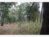 Terreno en venta en Avandaro, Valle de Bravo — foto 2 de 6