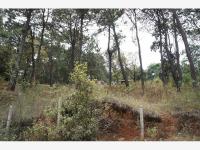 Terreno en venta en Avandaro, Valle de Bravo — foto 3 de 6