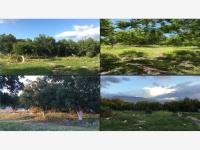 Finca-Rancho en venta en Autopista, Arteaga — foto 2 de 4