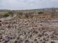 Terreno en venta en Berriozabal Centro, Berriozábal — foto 2 de 12