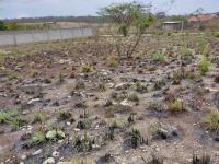 Terreno en venta en Berriozabal Centro, Berriozábal — foto 3 de 12