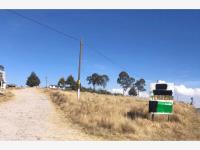 Terreno en venta en Santiago del Monte, Villa Victoria — foto 2 de 3