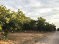 Terreno en venta en La Barranca, Torreón — foto 3 de 5