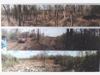 Terreno en venta en Penkuyut, Tekax — foto 2 de 16