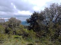 Terreno en venta en Pueblo Nuevo, Mineral del Monte — foto 3 de 9
