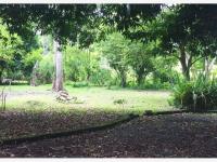 Terreno en venta en Paso del Toro, Medellín de Bravo — foto 2 de 4